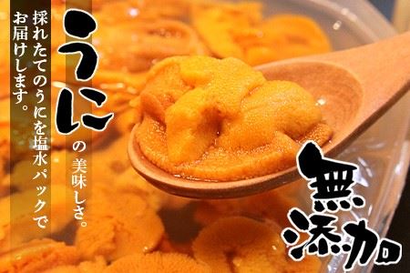 無添加蝦夷バフンウニ塩水パック100g×2P
