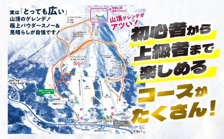 【スキーチケット】ひだ流葉スキー場 シーズン券 スキーチケット