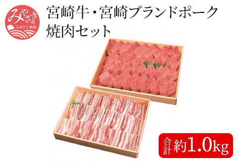 宮崎牛・豚焼肉セット＜約500g×2＞ |牛肉 牛 肉 豚肉 豚 ブランド ポーク