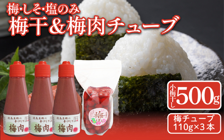 小梅干し 500g 1袋 梅肉チューブ 110g 3本 詰め合わせ 《 2025年11月から順次発送予定》 梅干 梅肉 梅干 梅肉