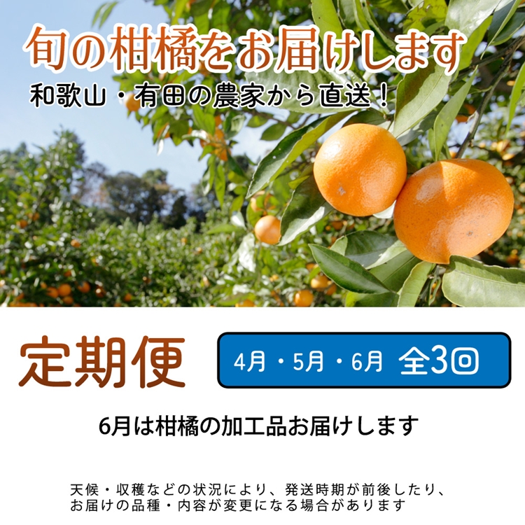 【定期便】家庭用 柑橘定期便 M 3回（4～6月）※北海道・沖縄・離島への配送不可※4月・5月・6月に発送