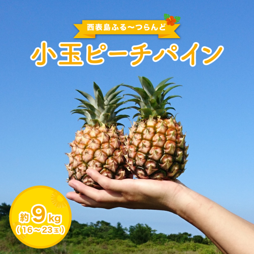2026年 先行予約 小玉 ピーチパイン 約9kg 16～23玉 ★西表島ふる～つらんど★美味しさギュッと！果物 フルーツ パイン 026-a004_2026