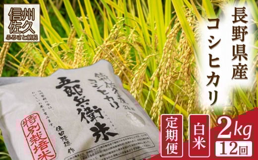 【令和7年産・白米2kg×12カ月定期便】特別栽培米　五郎兵衛米 〈2025年9月中旬頃～順次発送〉 先行予約　新米　信州　こしひかり【 長野県 佐久市 】