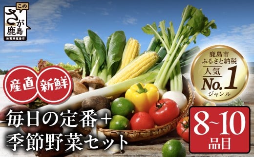 野菜ソムリエ選定 肥前の国の お野菜詰め合わせセット  野菜 セット 詰め合わせ 8～10品目 ふるさと納税 佐賀県 鹿島市 A-4