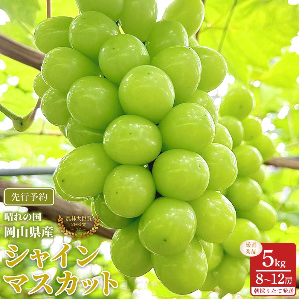 【ふるさと納税】ぶどう 2026年 シャインマスカット 厳選 秀品 約5kg 合計8～12房 農林大臣賞受賞 岡山 国産 果物 フルーツ シャイン マスカット 2026年7月上旬から発送 | フルーツ 果物 くだもの 食品 人気