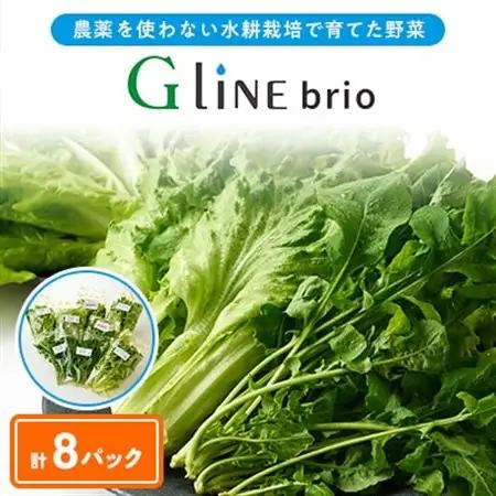 G Line brio レタス8パックセット【配送不可地域：離島】【1121142】
