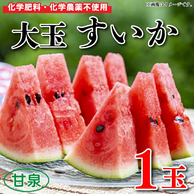 【ふるさと納税】 すいか スイカ 西瓜 大玉 1玉 約 5～7kg 果物 フルーツ 産地直送 甘い 約 5から7kg 以上 夏 甘泉 令和6年産 阿波市 徳島県