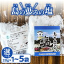 【ふるさと納税】＜選べる＞ 島の恵みの 塩 20g 1袋 ～ 5袋 食塩 海塩 ソルト 海水 天然 調味料 シーソルト ミネラル スパイス 料理 おにぎり 沖永良部 郵送 ポスト投函 島の恵み工房 サロンバー エスポワール 鹿児島 和泊町 おすすめ ランキング プレゼント ギフト