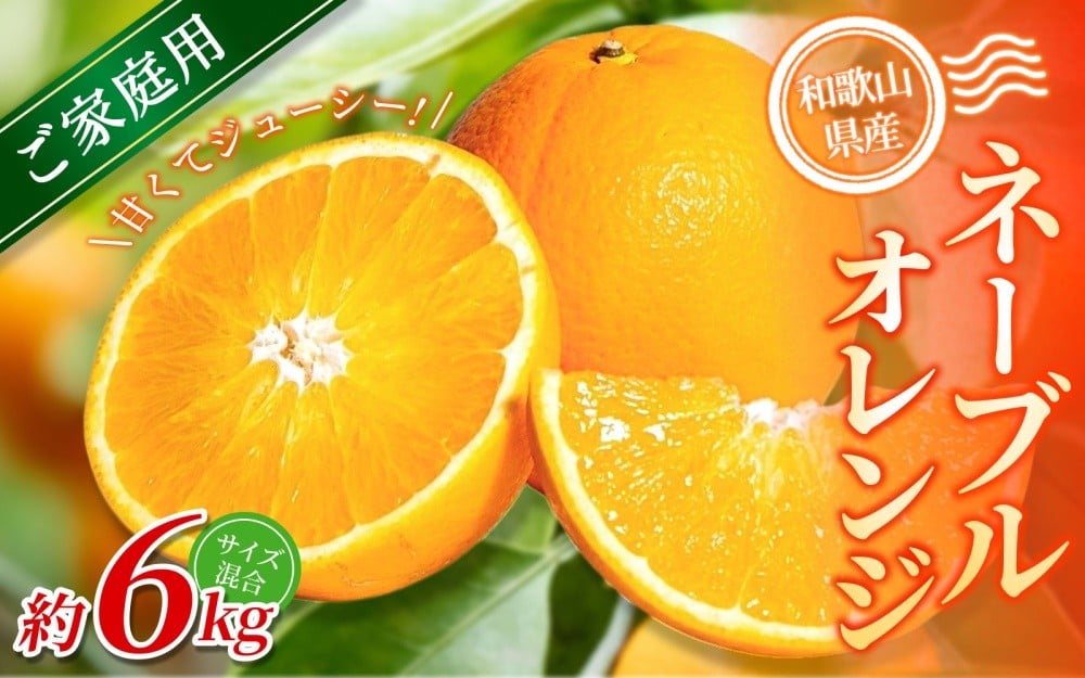 
            【ご家庭用】手選別 ネーブルオレンジ 約6kg 和歌山県産 2S~2Lサイズ混合※2026年1月上旬～2月中旬頃に順次発送【mrmt034】
          
