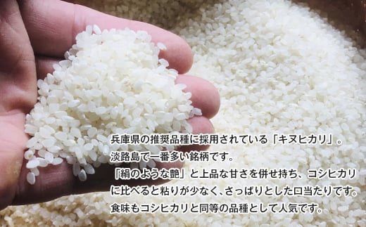 令和７年度 淡路島産キヌヒカリ 5kg （精米）