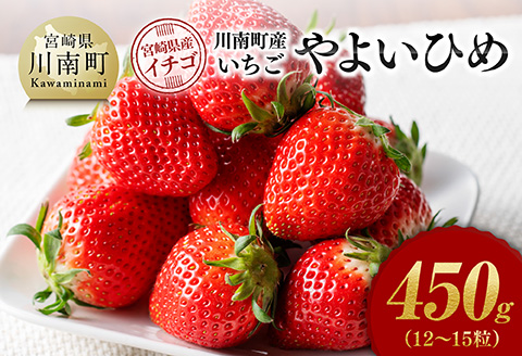 川南町産　いちご「やよいひめ」450ｇ【 期間限定 果物 イチゴ 苺 やよいひめ フルーツ 】[D11201]