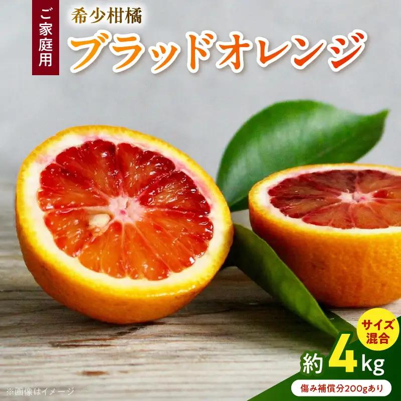 【直営限定】《先行予約・2027年3月発送》希少柑橘 ご家庭用 ブラッドオレンジ　サイズ混合/ご家庭用/4kg(傷み補償200g)_AB7371_Y