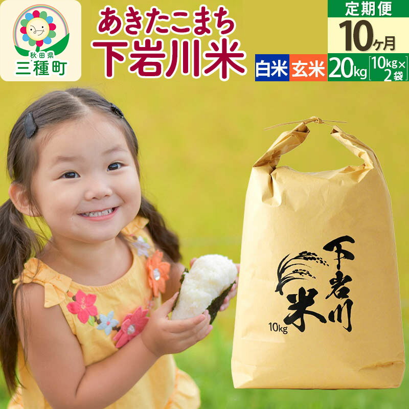 【ふるさと納税】【R8年新米予約】 《10ヶ月定期便》【白米／玄米】あきたこまち 20kg (10kg×2袋) 秋田県三種町産 令和8年産 下岩川米