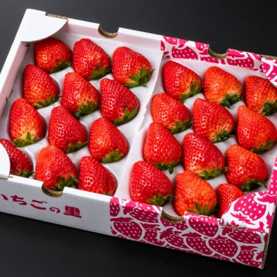 
                  スカイベリー(24～30粒入り)【1711546】
                