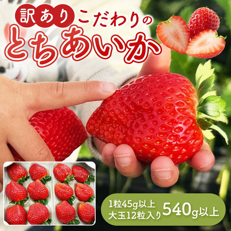 【ふるさと納税】「訳あり」とちあいか1粒45g以上 大玉 12粒入り 540g以上｜ 訳あり とちあいか いちご 苺 栃木県 果物 フルーツ ※2027年1月～発送