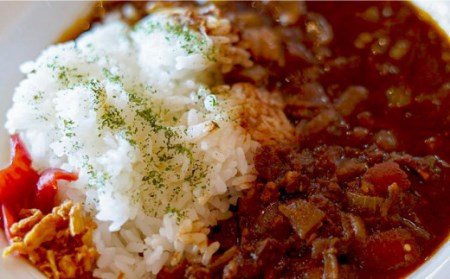 愛犬と一緒にシーカヤック体験！わんこOKのカフェでランチ付き【2名+1犬】 / お食事券 食事券 商品券 お食事チケット お食事券 商品券 食事券 川棚お食事券 お食事 食事 飲食店 おすすめ食事券 