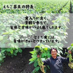 先行予約 枝豆 えちご茶豆 1kg えだまめ 枝豆 枝豆 枝豆 枝豆 枝豆 genzou001