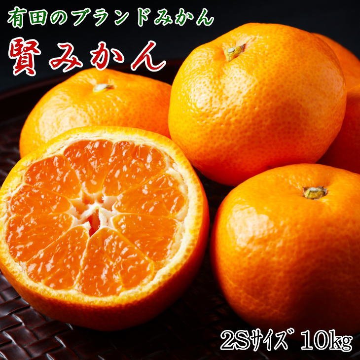 【ふるさと納税】【2026年先行予約】 有田ブランド 賢みかん 10kg 2Sサイズ 秀品 有田みかん 温州みかん ブランドみかん みかん 柑橘 果物 果実 フルーツ デザート 濃厚 甘い 酸味 国産 お取り寄せ 和歌山厳選館 和歌山県 湯浅町 送料無料