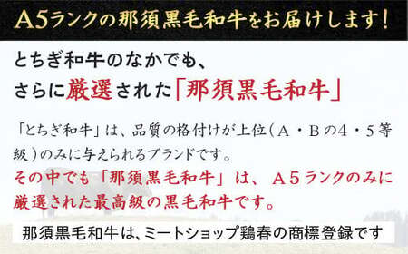 【冷凍】那須和牛焼肉用A5（並カルビ）牛肉 国産 冷蔵 冷凍 焼肉 那須町〔B-1〕