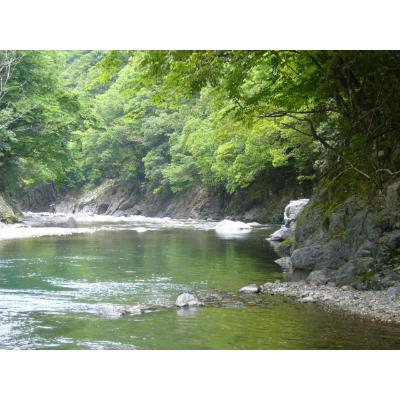 ふるさと納税 相良村 限定「川辺」1.8L　2本セット |  | 01