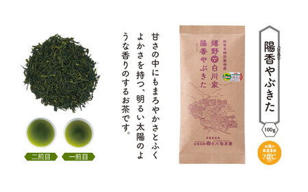 白川家陽香やぶきた3袋セット 計300g / お茶 日本茶 嬉野茶 緑茶 / 佐賀県 / 白川製茶園 [41AIAB004]