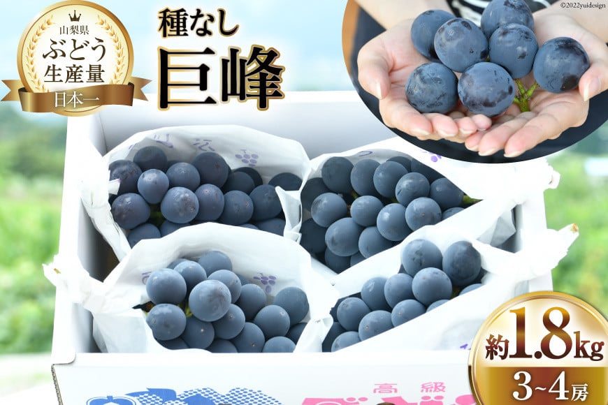 
                  【2025年発送】 ぶどう 先行受付 種なし 巨峰  計1.8kg程度  3〜4房 山梨 やまなし ブドウ 葡萄 種無し たねなし 果物 くだもの フルーツ 1.8キロ 期間限定 季節限定 産地直送 山梨県産 [梨北農業協同組合 山梨県 韮崎市 20743014]
                