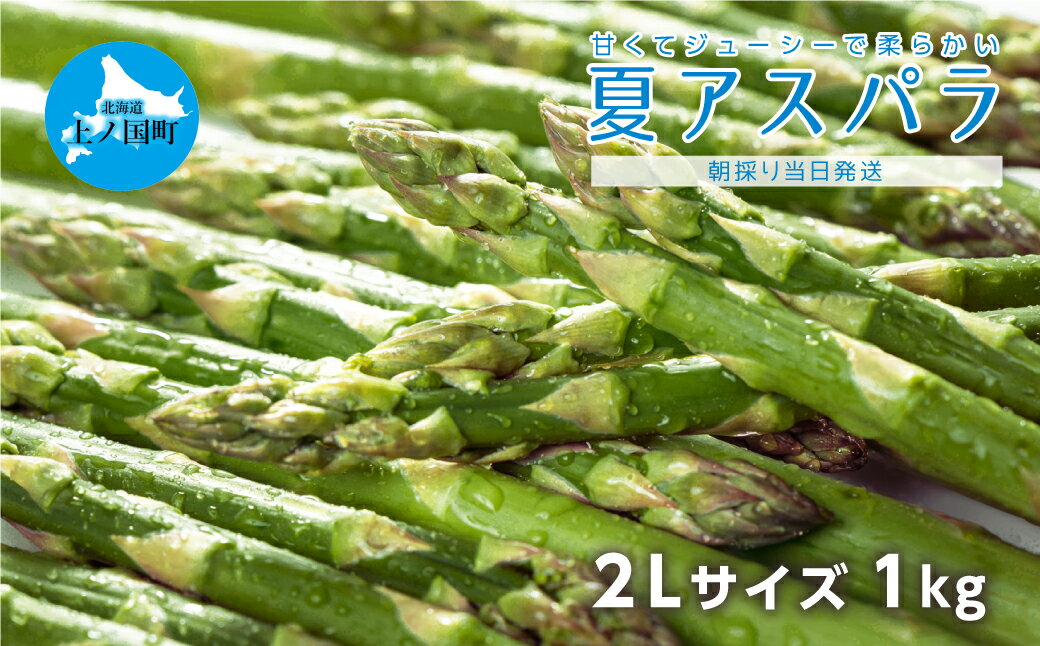 【ふるさと納税】【2025年夏発送】北海道上ノ国町産 寅福菜園の朝採れ夏アスパラ　2L（1kg）　アスパラガス　グリーンアスパラ　朝採り　産地直送　野菜　送料無料