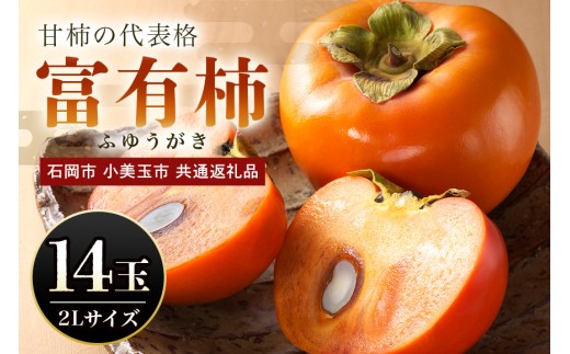 【数量限定・先行予約】 富有柿 2L 14玉 《11月13日～12月10日発送予定》 柿 かき カキ 果物 くだもの フルーツ（石岡市 小美玉市 共通返礼品）67-B