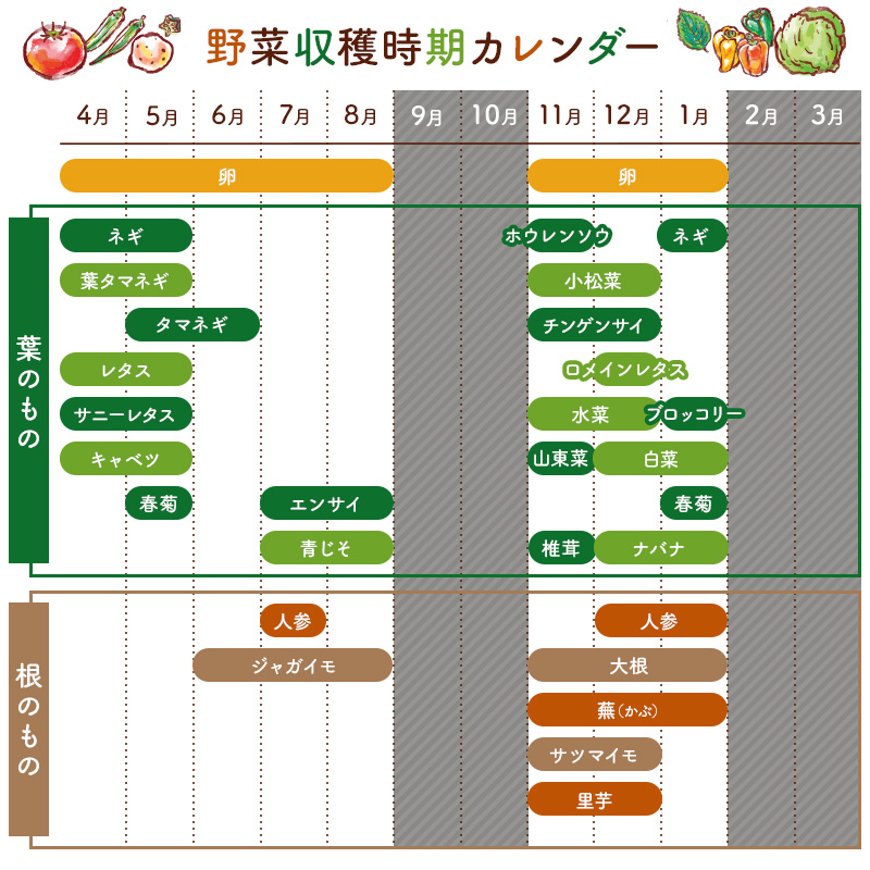 4月発送　農薬・化学肥料を持たない農家の野菜（7～10種類）と 平飼有精卵のセット 旬野菜 指定野菜 鶏卵 加工品 果物 蒟蒻 味噌 露地栽培 自家栽培 農業