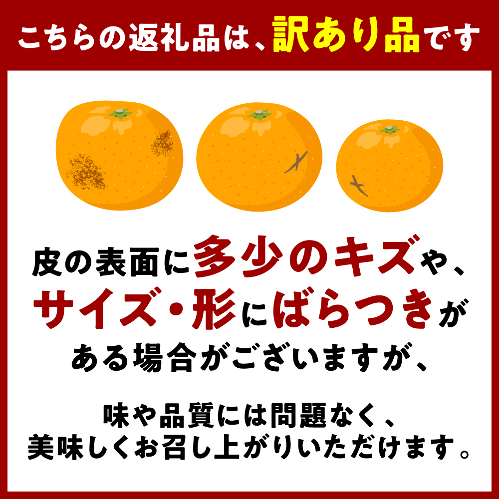 【先行予約】 【訳あり】 不知火 デコみかん 約2kg しらぬい みかん 柑橘 くだもの 果物 フルーツ 旬 熊本県 八代市 【2027年1月中旬より順次発送】_イメージ5
