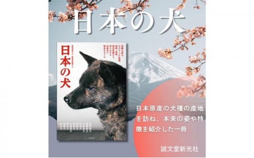 書籍『日本の犬』 武井哲史 山喜多佐知子 誠文堂新光社 東京都 文京区 [№5338-0513]