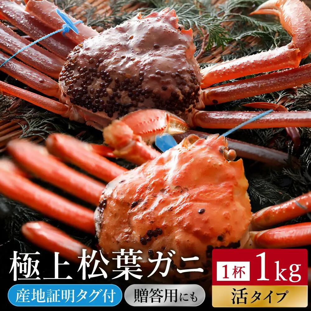 活松葉ガニ タグ付き 約1kg【湯楽使用】