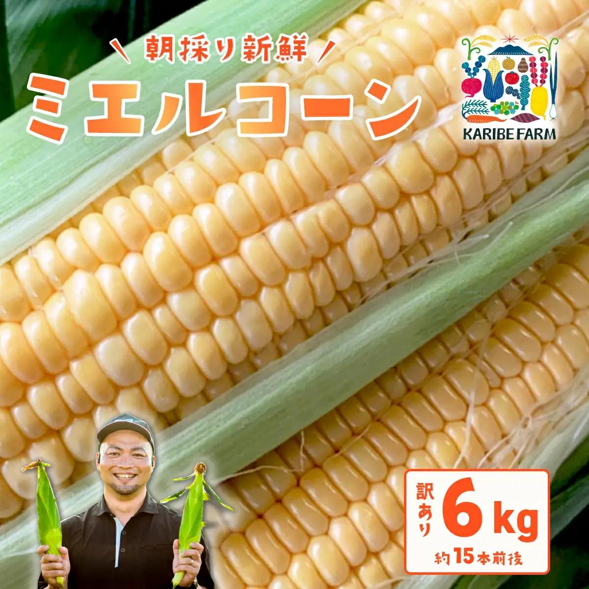 とうもろこし ミエルコーン 約6kg 茨城県産 トウモロコシ 訳あり