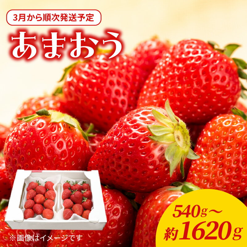 【ふるさと納税】【2026年3月配送開始】福岡・博多名物ブランドいちご「あまおう」540g～1620g ＜配送不可：北海道・沖縄・離島＞ いちご 苺 イチゴ フルーツ 果物 くだもの 人気 旬 福岡県産 150g 270g アフター補償 産地直送 冷蔵配送 福岡県 八女市 北海道・沖縄・離島