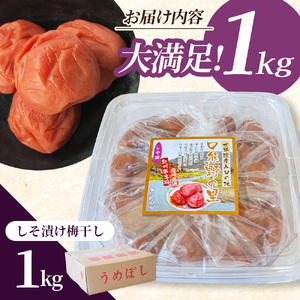 大粒 たっぷり浸かったしそ漬け梅 1kg×1パック 塩分10％ / お歳暮 紀州南高梅 訳ありでない 梅干 うめぼし 南高梅 しそ梅 シソ 紫蘇 国産 梅 うめ ウメ ご飯 和歌山県 田辺市 前田農園