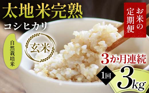 お米の定期便 自然栽培米 太地米完熟 【こしひかり】 玄米3kg×3か月連続 ブランド米 お米 人気 F7X-0440