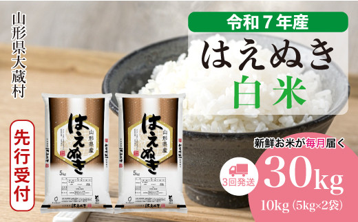 ＜令和7年産米先行受付＞ 大蔵村産 はえぬき 【白米】 定期便 30kg （10kg×1ヶ月間隔で3回お届け）＜配送時期選べます＞