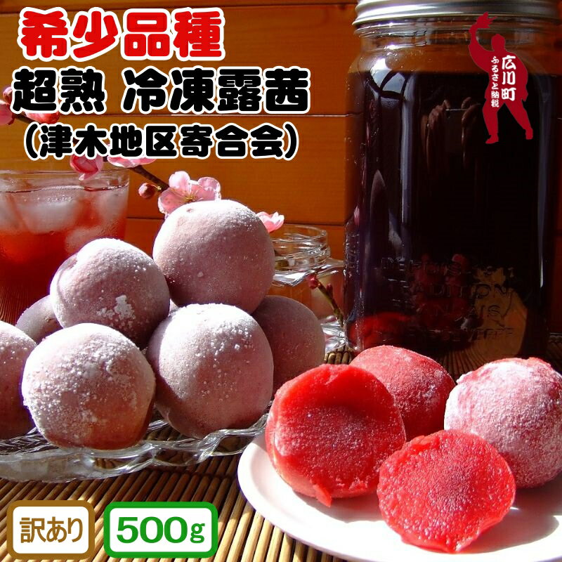 【ふるさと納税】【希少品種】 超熟 冷凍露茜 (訳あり) 500g レシピ付き / 青梅 幻の果実 希少 新種の果実 梅 すもも 冷凍梅 完熟 コンポート ペースト ジュース 梅酒 ジャム 高級 手作り 調理 //hokaf