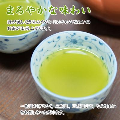 ふるさと納税 牧之原市 摘みたて!深蒸し茶100g×12本 包装袋セット　静岡県 牧之原産 新茶 深蒸し緑茶 |  | 02