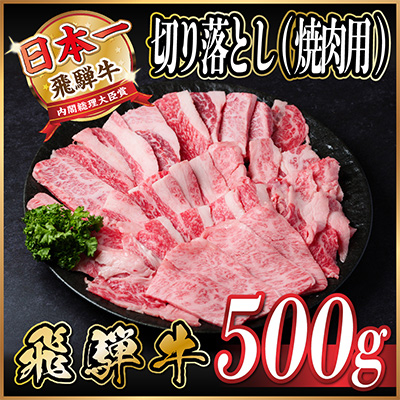 【年内発送】飛騨牛　訳あり切り落とし焼肉　500g　【配送不可地域：離島】