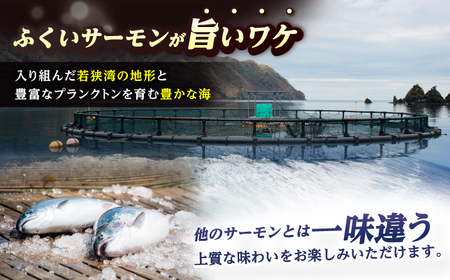 国産 ふくいサーモン 200g × 6パック 計1.2kg  刺身 サケ 鮭 [BFAA073] 【配送不可地域：北海道・沖縄・離島】 