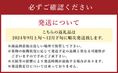 梨 9kg 【2024年9月上旬～12月下旬発送予定】 九州産