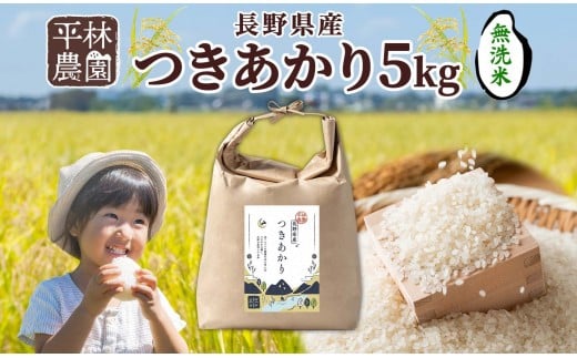 ＜先行予約＞令和7年産 つきあかり 無洗米 5kg×1袋 長野県産 米 精米 お米 ごはん ライス 甘み 農家直送 産直 信州 人気 ギフト お取り寄せ 平林農園 送料無料 長野県 大町市