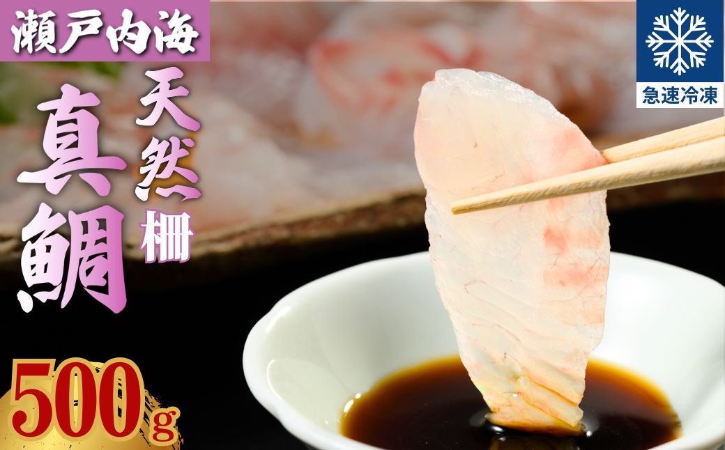 
                  瀬戸内「天然」真鯛 お刺身用 500g 柵でお届け（急速冷凍）便利な小分け 100gパック 【鯛 マダイ タイ 鯛めし 鯛茶漬け フィレ フィーレ ブロック 海鮮 魚介 即日加工 鮮度抜群 個包装 おせち 正月 正月料理】
                