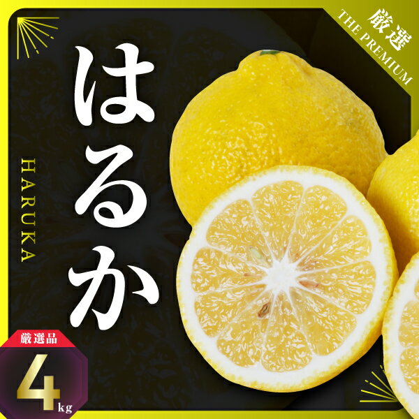 【ふるさと納税】三代目のはるか4kg【D31-8】_ みかん ミカン 柑橘 フルーツ 果物 くだもの 青果 はるか 産地直送 産直 愛媛 甘い ジューシー 常温 【1042520】 YWTAC005