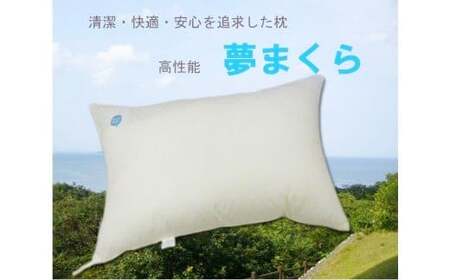 高性能ウォッシャブル「夢まくら」、清潔快適♪（R-35）丸洗いOK アレルギー対策・ダニ防止機能付 枕 ３５ｘ５０cm