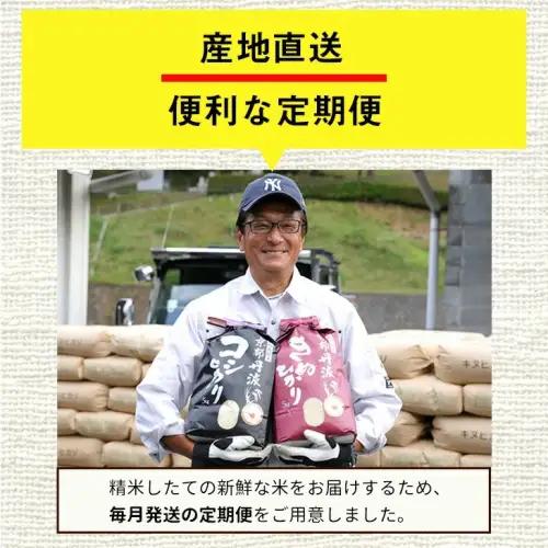 【3回定期便】コシヒカリ 10kg 定期便 精米 白米