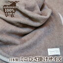 【ふるさと納税】カシミヤ毛布 ミニひざ掛けサイズ｜ブランケット 敬老の日 お歳暮 贈答品 ギフト 誕生日プレゼント 贈り物 父の日 母の日 クリスマス お見舞 [2164]