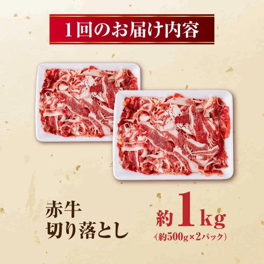 【全6回定期便】 赤牛 切り落とし 1kg（500g×2パック） /  牛肉 切り落とし 熊本県産 冷凍[AYBV009]