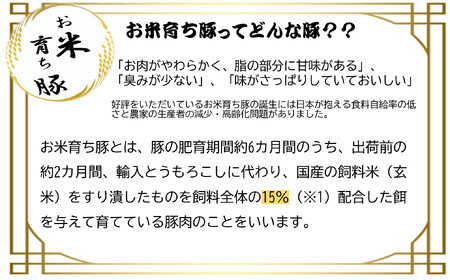  【黒岩豚太くん】 豚肉 しゃぶしゃぶ 用 1.2kg (バラ 300g×2、ロース 300g×2)　希少豚 真空パック 小分け　お中元 夏ギフト 栄養豊富 ビタミンB 四元豚 希少豚 お米育ち豚 （